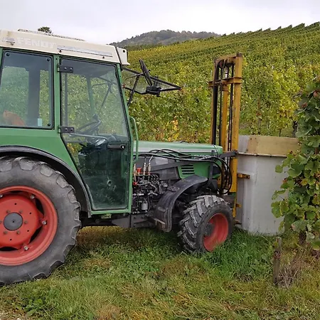 Ferien Mit Wein Apartamento *