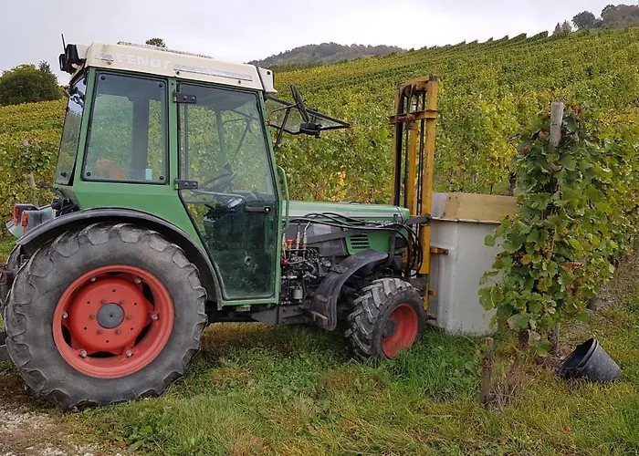 Ferien Mit Wein 公寓 *