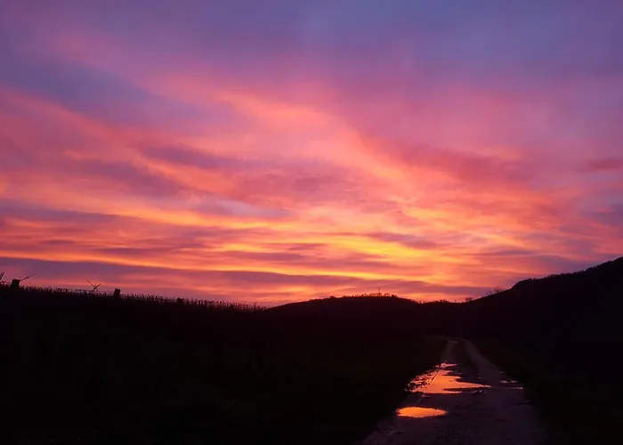 Apartment Ferien Mit Wein Wintrich